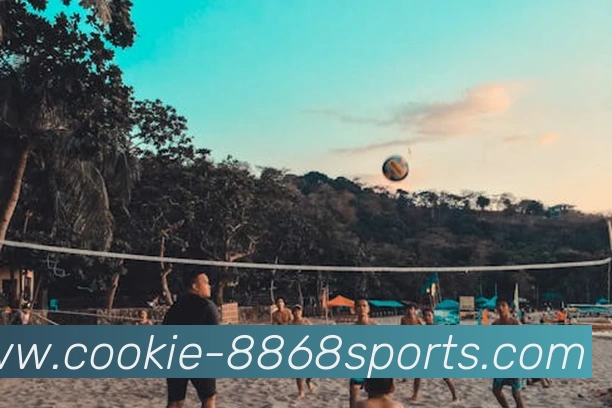 8868体育发展历程